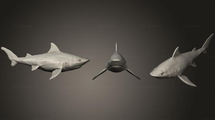 Статуэтки животных (Акула 5, STKJ_2455) 3D модель для ЧПУ станка